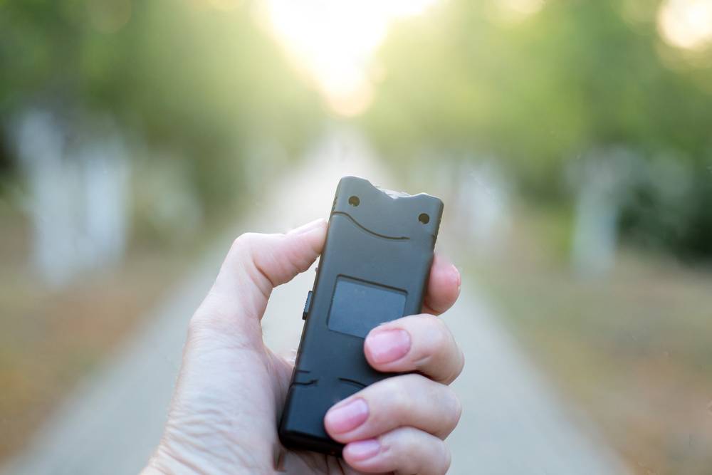 Hand Held Stun Gun Voltage