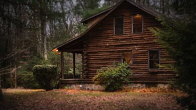 Photo of Enhancing Home Security: Trimming Overgrown Bushes and Trees