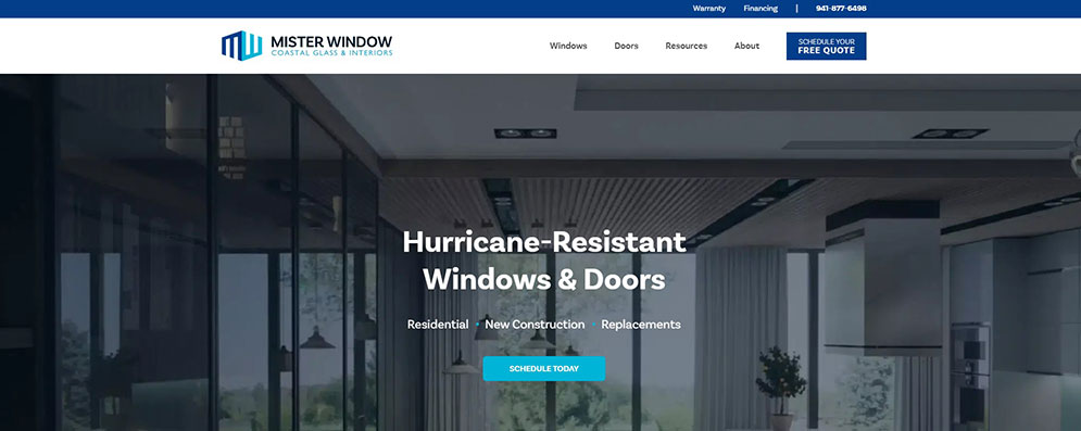 Mister Window