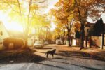 7 Ways to Vet a Neighborhood's Safety Before You Move