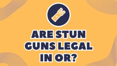 Photo of Are Stun Guns Legal In OR?